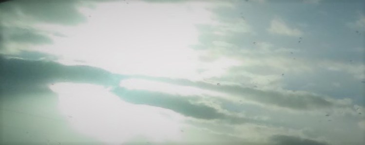 20171002_075313_HDR (2)