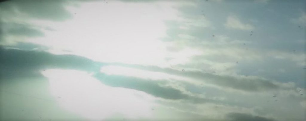 THE TRIBULATION PERIOD.