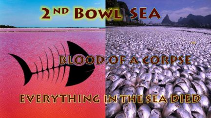 sea blood